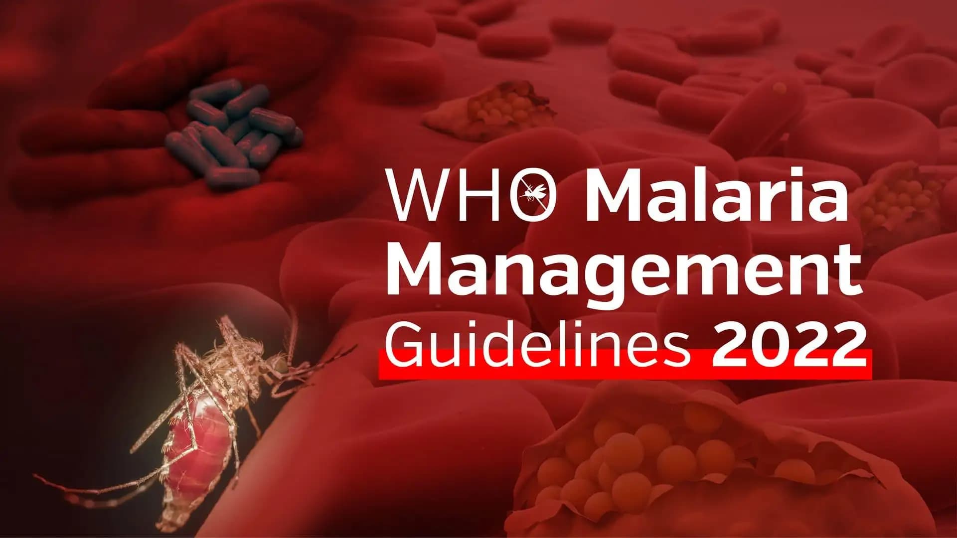 WHO Malaria Management Guidelines 2022
