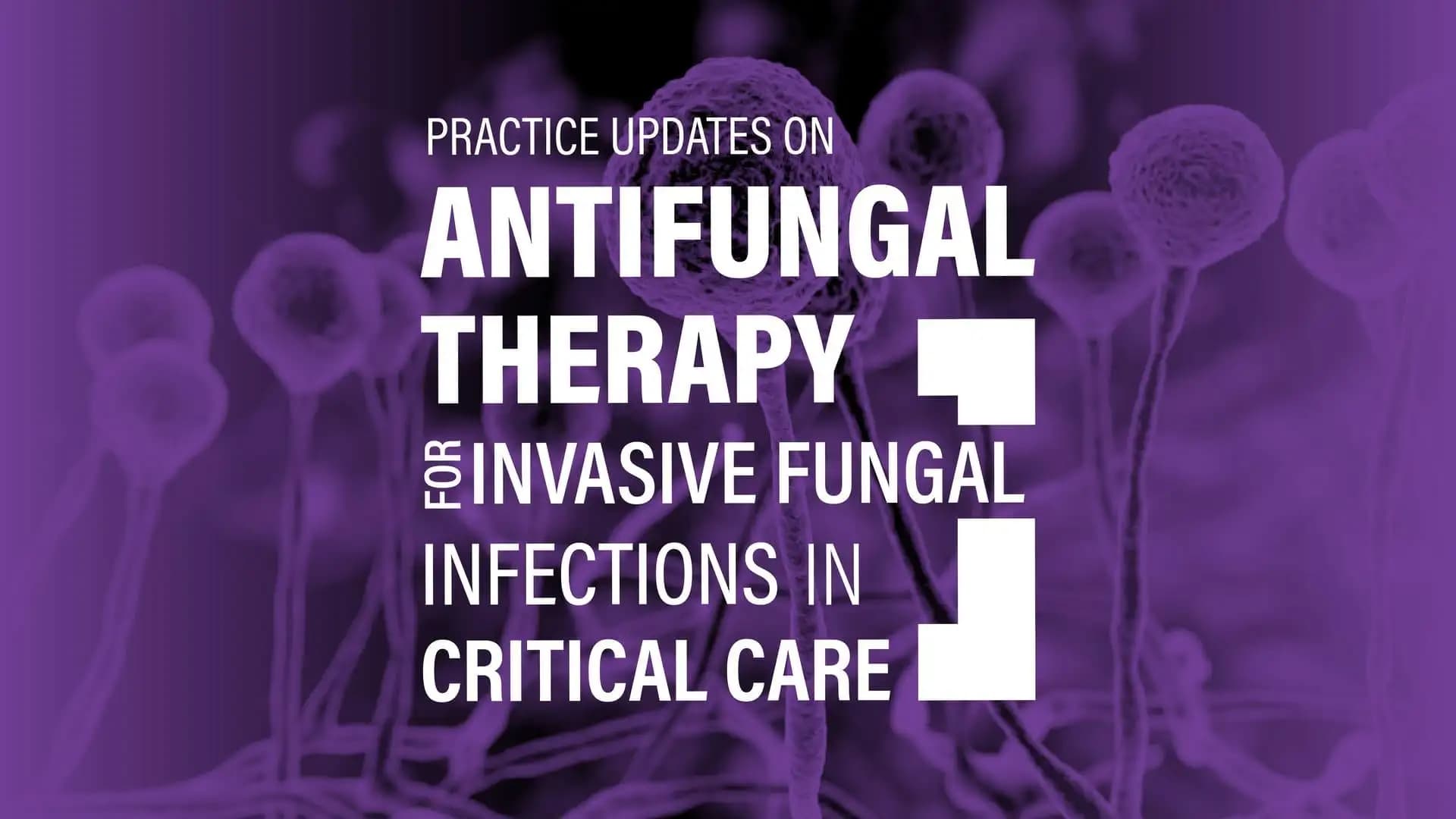 Practice updates on the Antifungal Therapy for Invasive Fungal Infections in the Critical Care