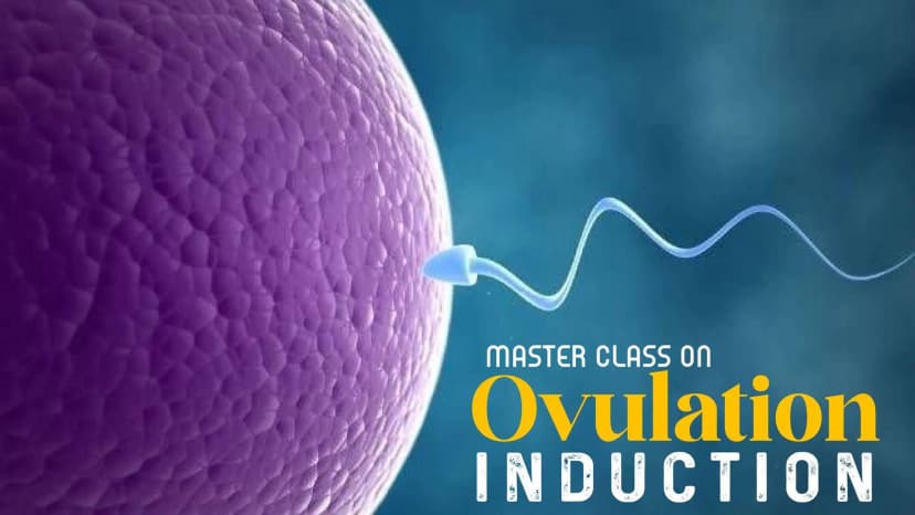 Ovulation Induction in IVF