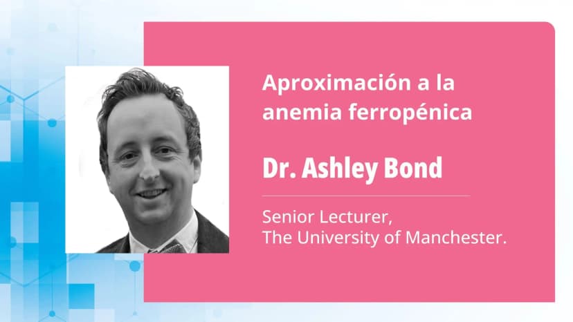 Parte 2: Estrategias terapéuticas en la anemia ferropénica