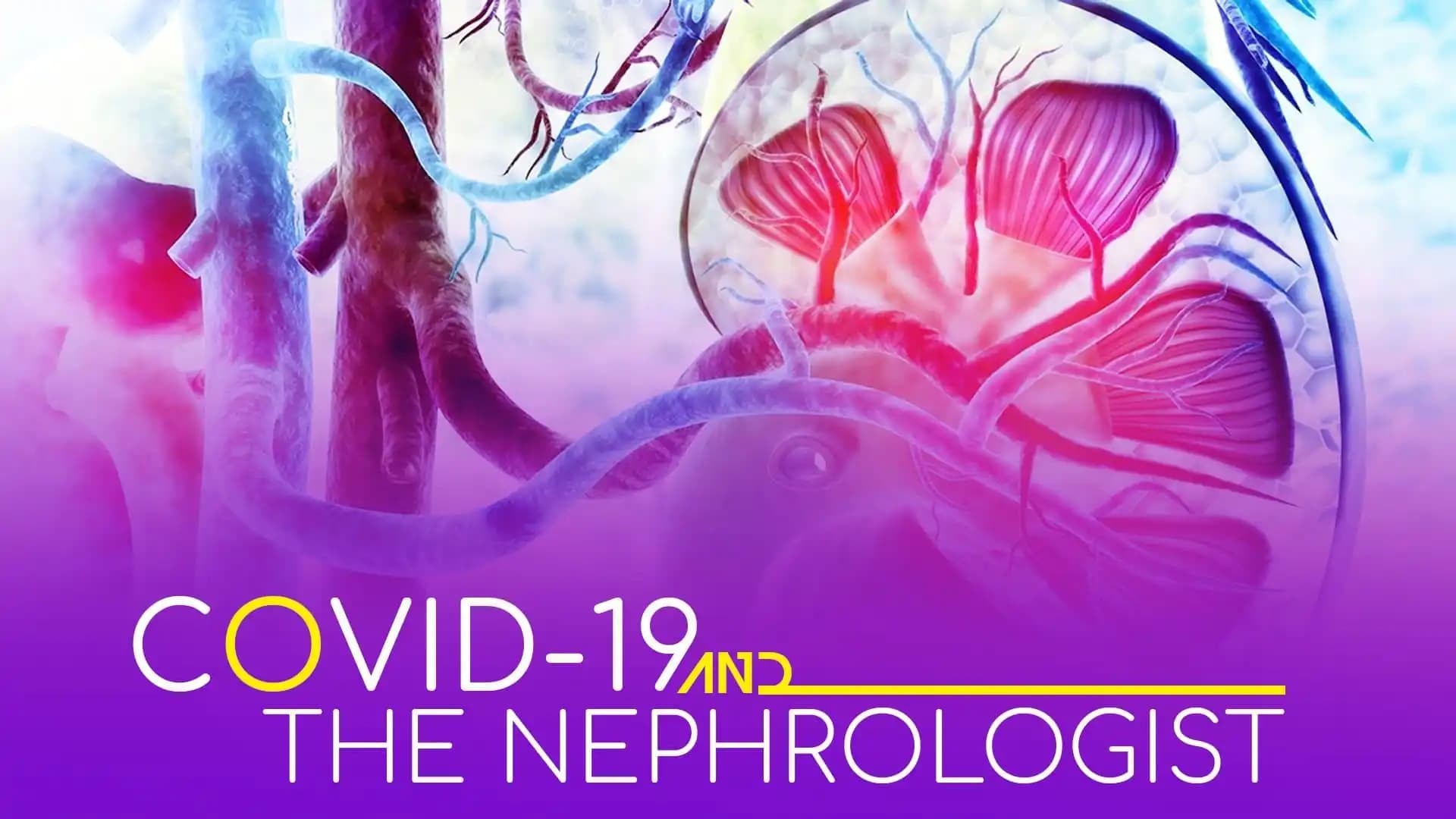COVID-19 and the Nephrologist