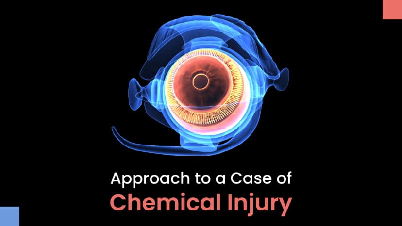 I’s & E’s in the Management of Acute Chemical Injury