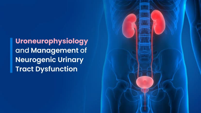 Uroneurophysiology and Management of Neurogenic Urinary Tract Dysfunction