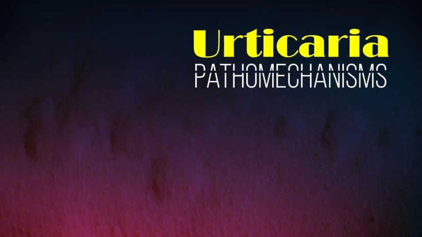 Urticaria Pathomechanisms