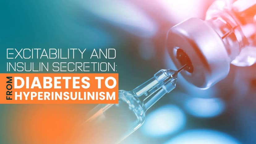 Excitability and Insulin Secretion: From Diabetes to Hyperinsulinism