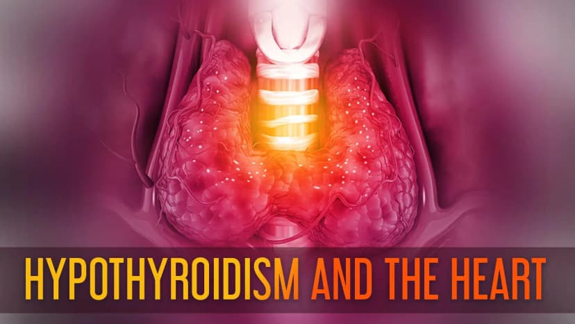 Thyroid Dysfunction and Cardiovascular Diseases
