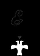 Bangalore Society of Obstetrics & Gynaecology (BSOG)