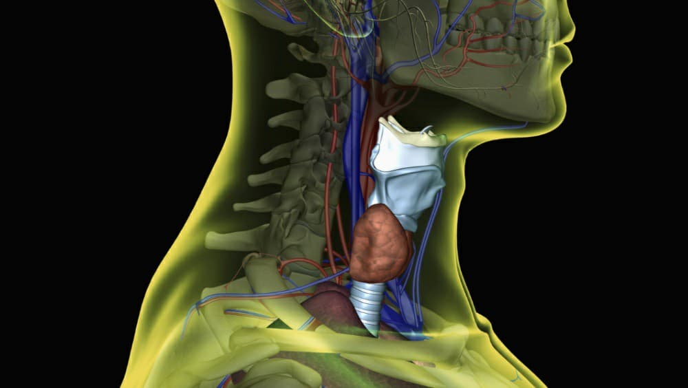 Innovative stellate ganglion block shows promise for restless legs syndrome