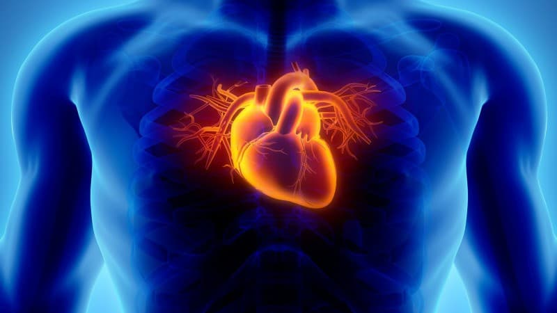 Early administration of Apixaban improves functional outcomes in AF-Stroke