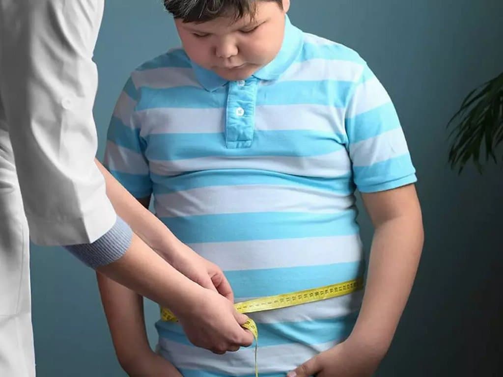 Obesity persistence in children with type 1 diabetes mellitus