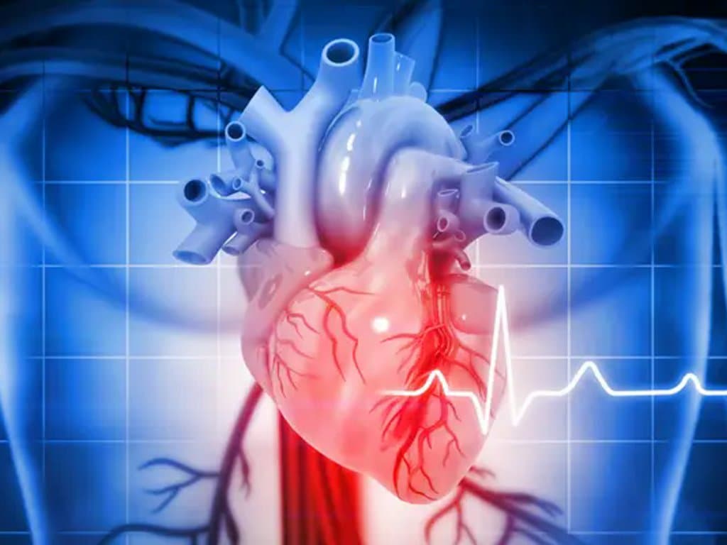 Monitoring changes in heart rate can aid in NVAF management