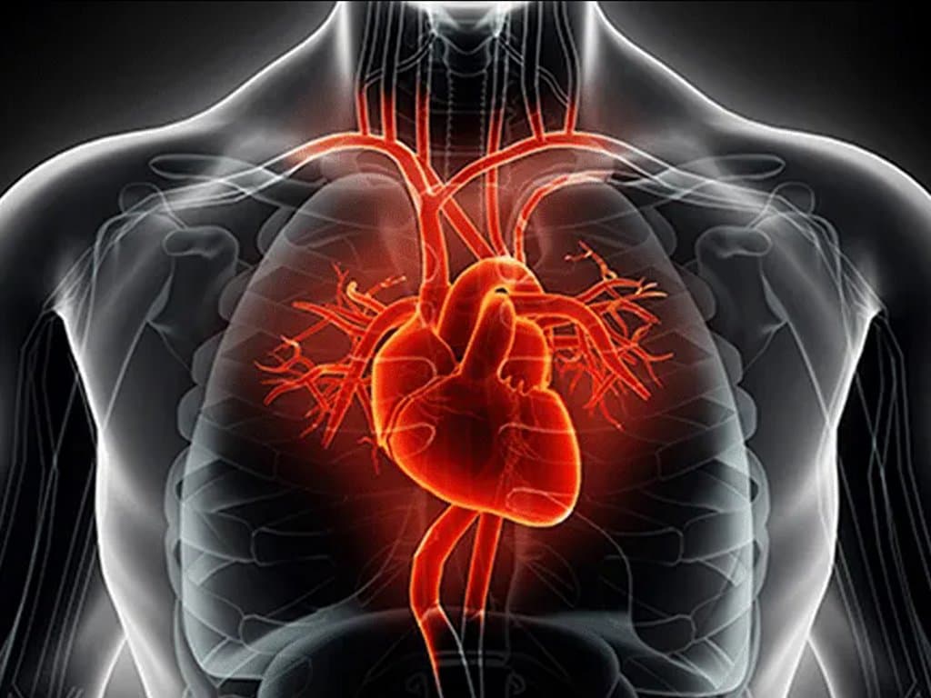 LAR as a predictor of mortality in critical HF patients with diabetes
