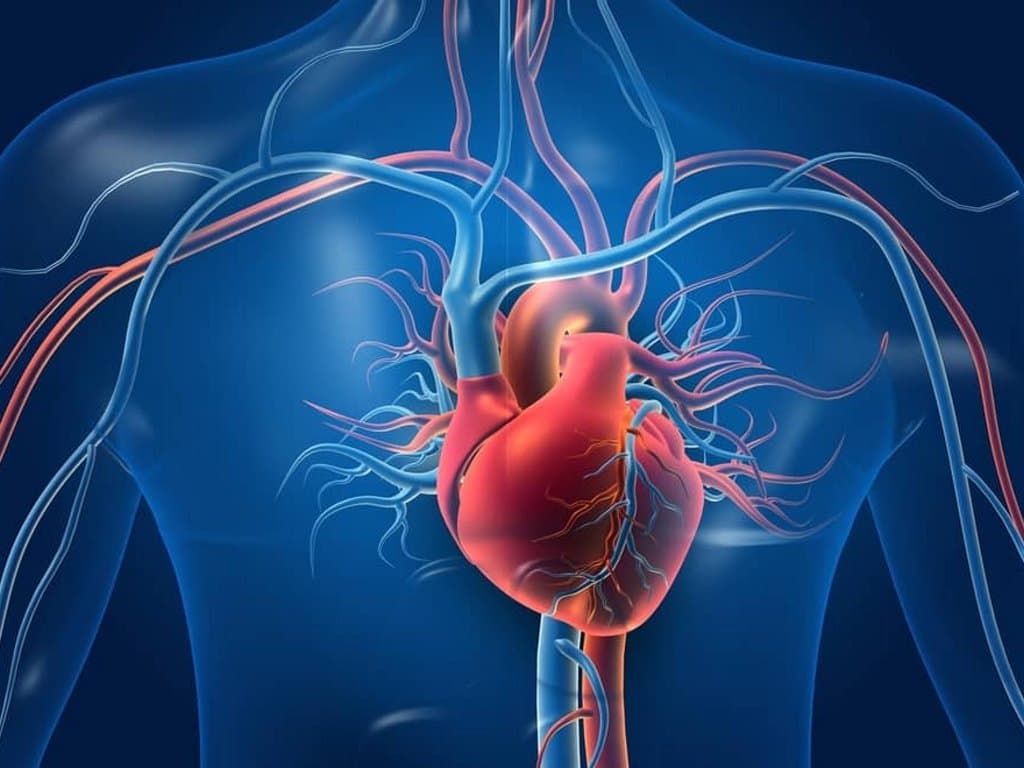 Sex- and age-specific outcomes of early revascularization in NSTE-ACS