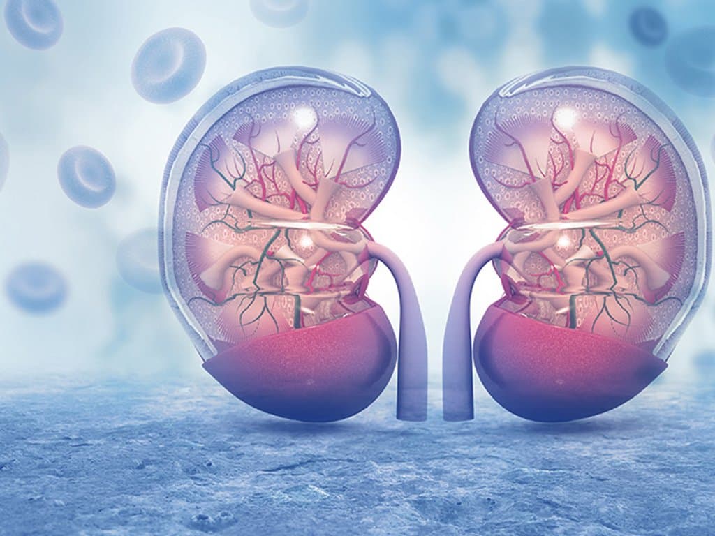 NPAR predicts mortality in DKD patients with differences according to sex