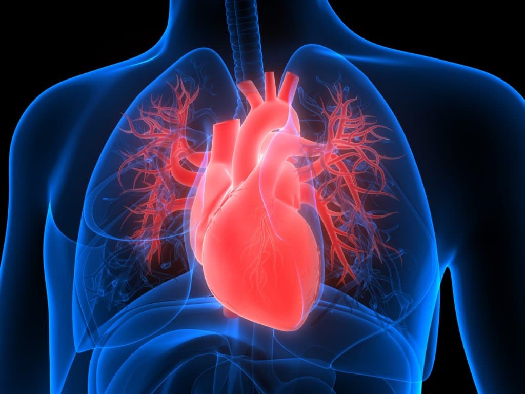 High HGI is associated with lower short-term mortality in CHF patients