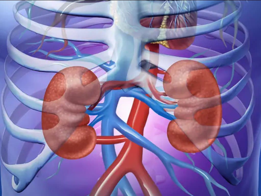 Risk factors for postoperative AKI incidence in colorectal cancer patients