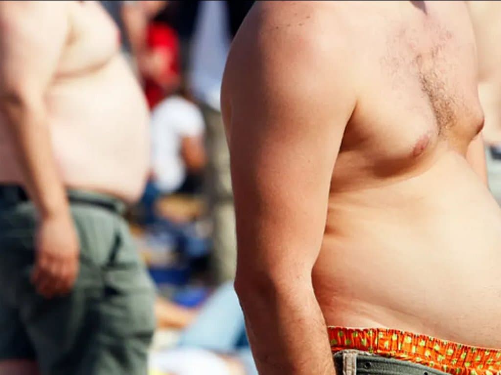 The potential of AIP as a biomarker for obesity in young adults