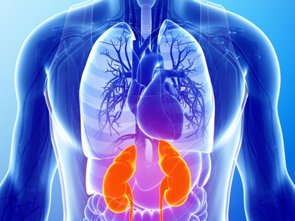 eGDR is associated with increased CVD risk in patients with CKM syndrome