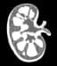 Nephrology
