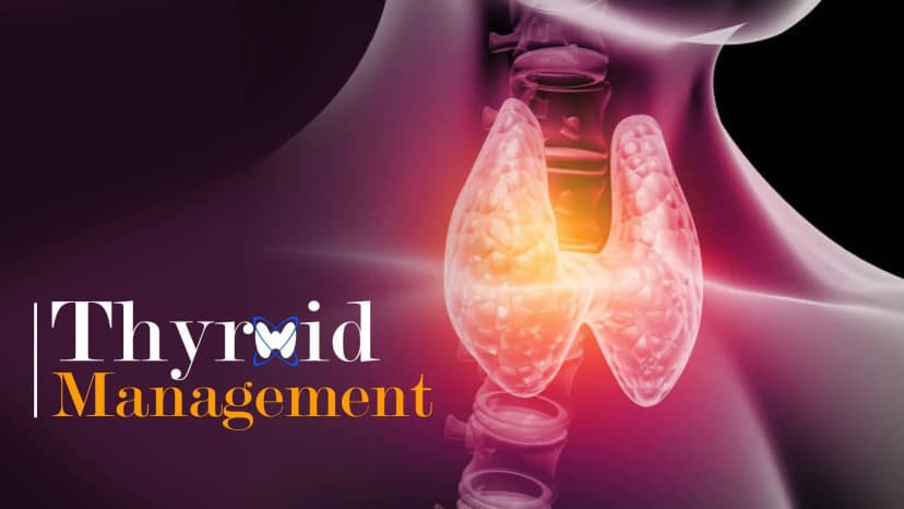 Thyroid Function Tests: Overview & Elucidation