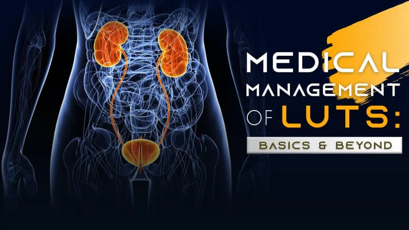 Management of LUTS