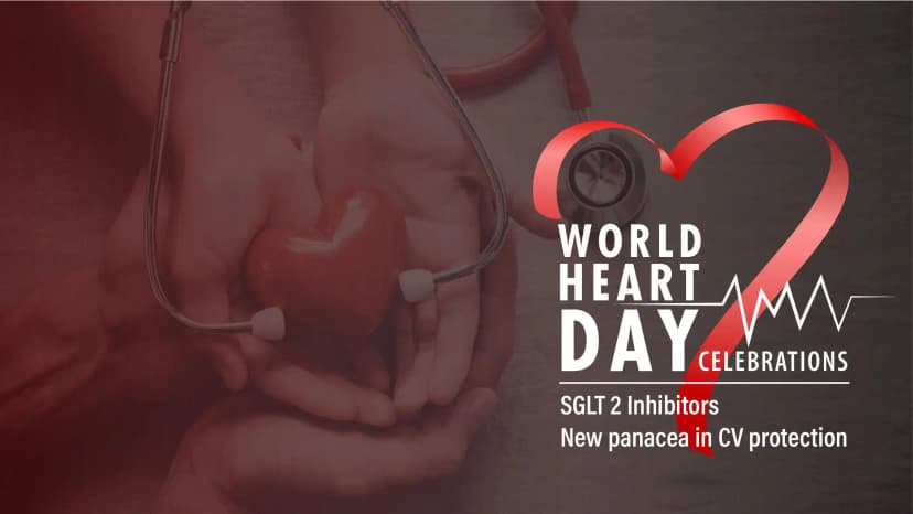 Panel Discussion and Question-Answer Session