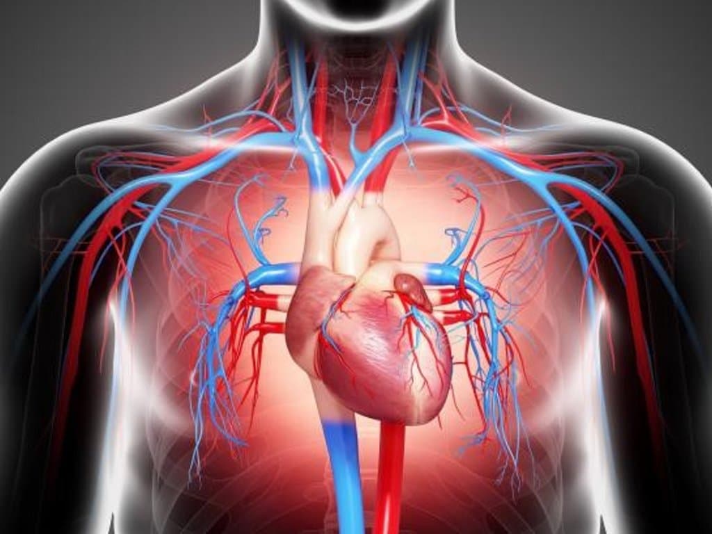 SGLT2is reduces arrhythmia recurrence after AF ablation in HF patients