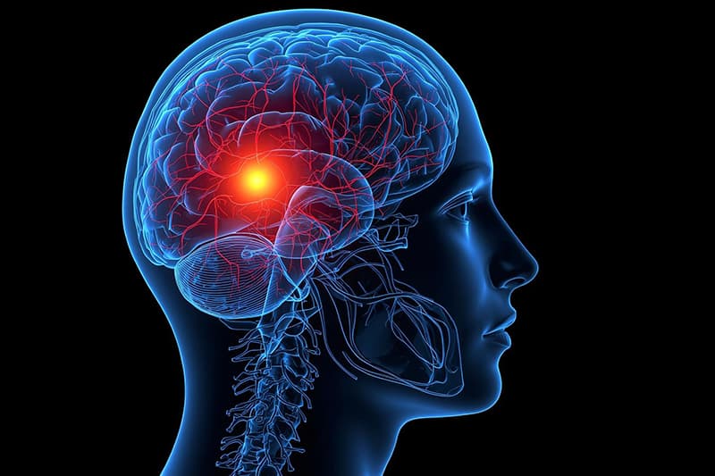 Affect Labeling: How Naming Emotions Enhances Memory and Calms the Amygdala