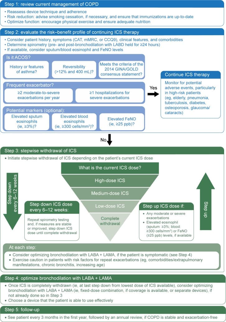 Stopping ICS in Selected COPD Patients Can Be Done Gradually Without Raising Exacerbations