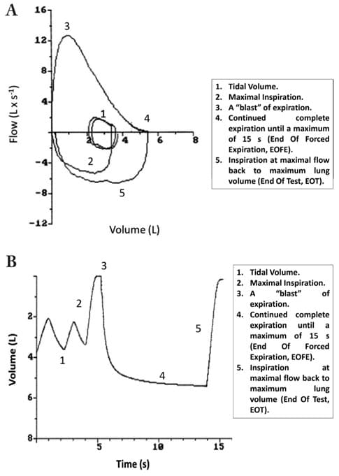 ERS/ATS Interpretation Standards Help Turn Lung-Function Numbers Into Clinical Decisions