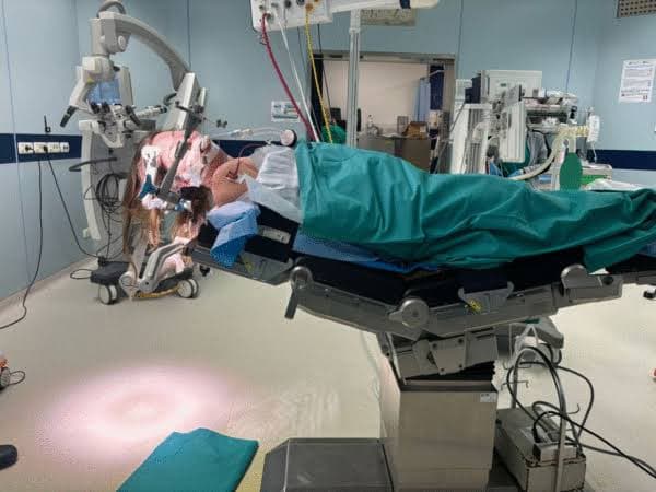Impact of Semisitting Positioning on Intraoperative Blood Loss and Surgical Conditions in Endoscopic Pituitary Surgery
