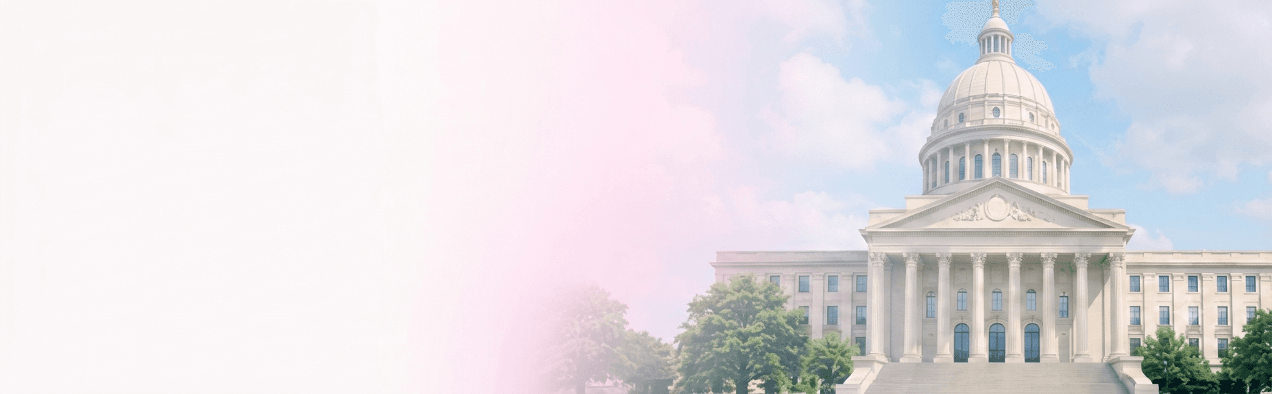 Government & Regulatory Bodies Banner Background