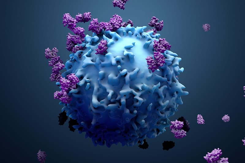 Gentler T-Cell Recovery Improves CAR T-Cell Cancer Therapy