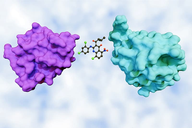 CIRCUS Trial: Repositioning E7820 as a Molecular Glue Degrader for Solid Tumors