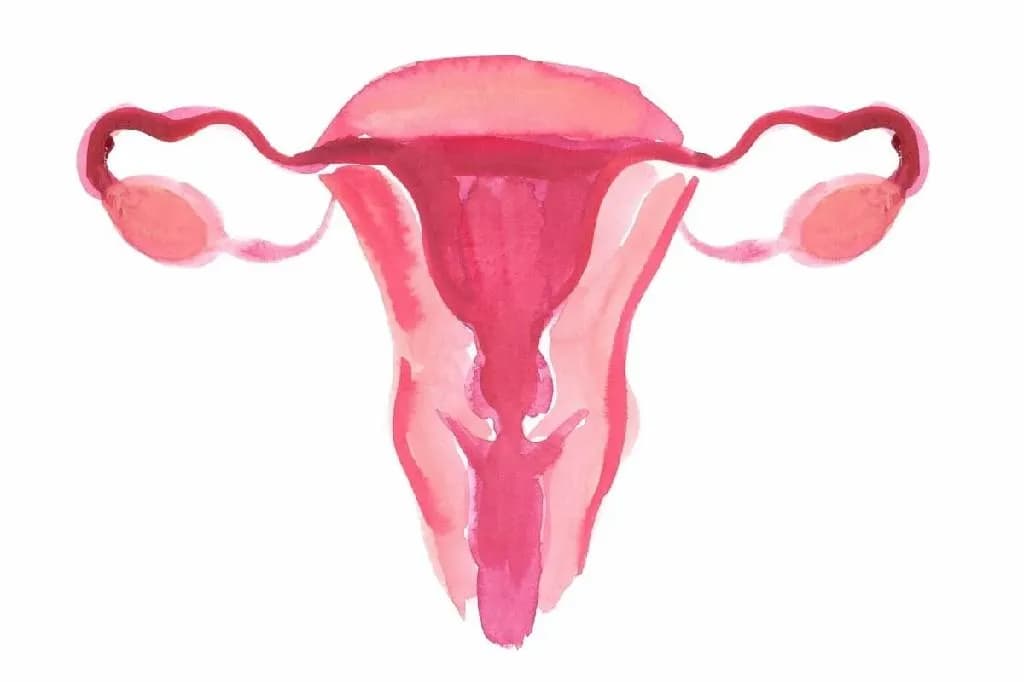 IVF outcomes in infertile women with complete septate uterus